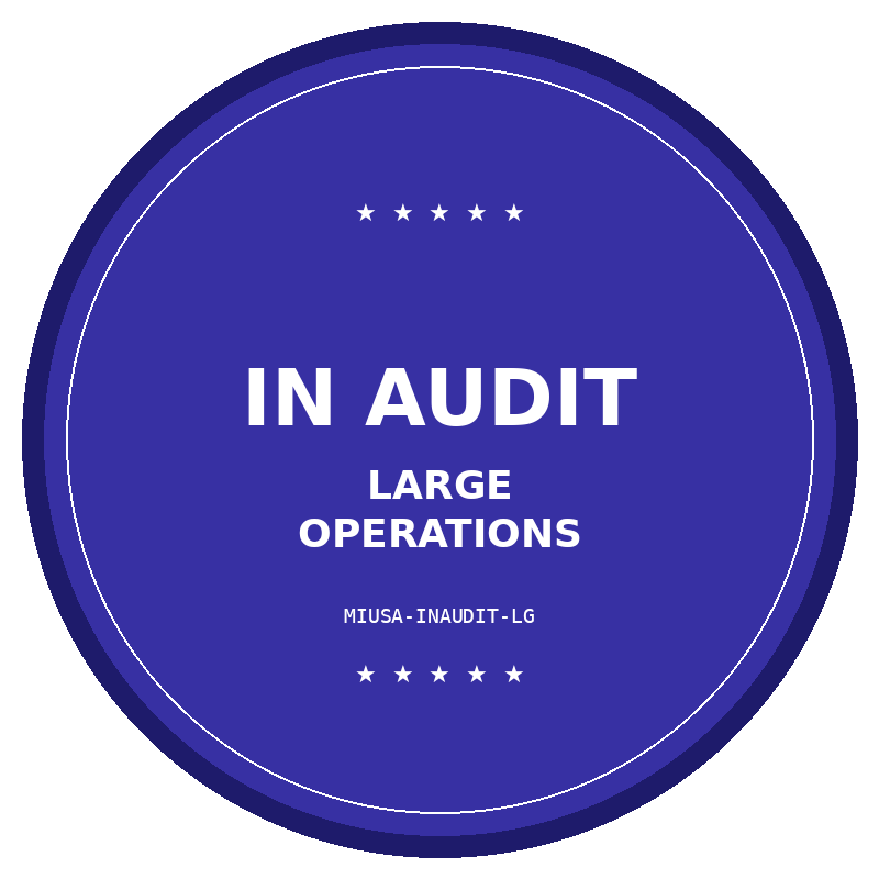 Made in USA IN AUDIT — Large Operations